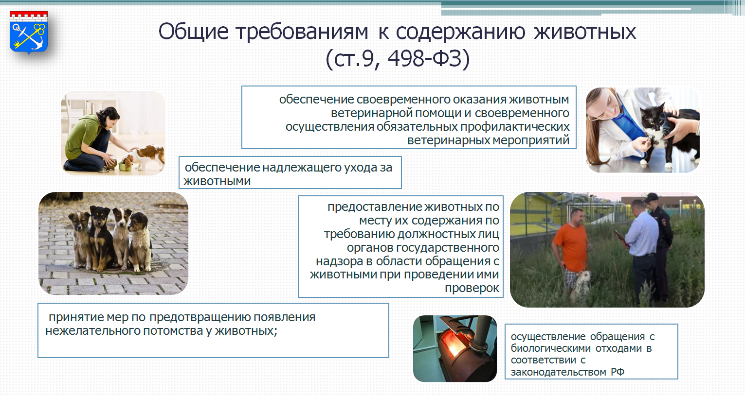 Ответственное отношение к животным презентация