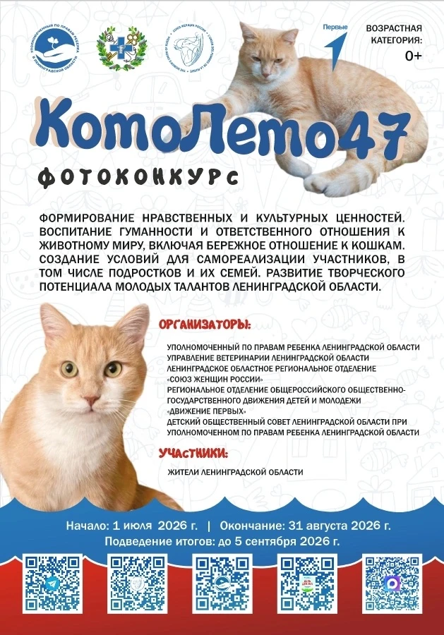 IMG 20260708 151131