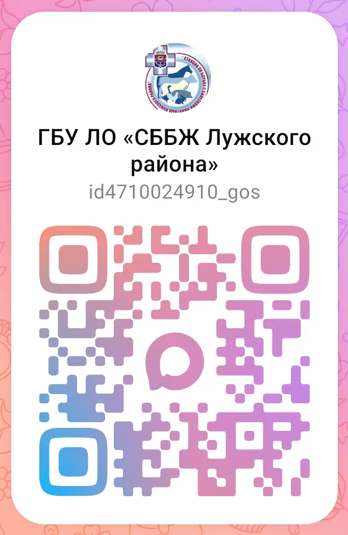 IMG 20260709 081418