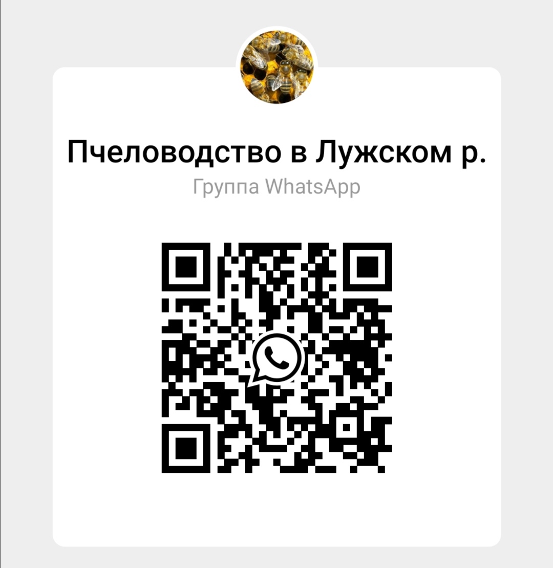 WhatsApp Image 2020-09-10 at 10.43.53.jpeg