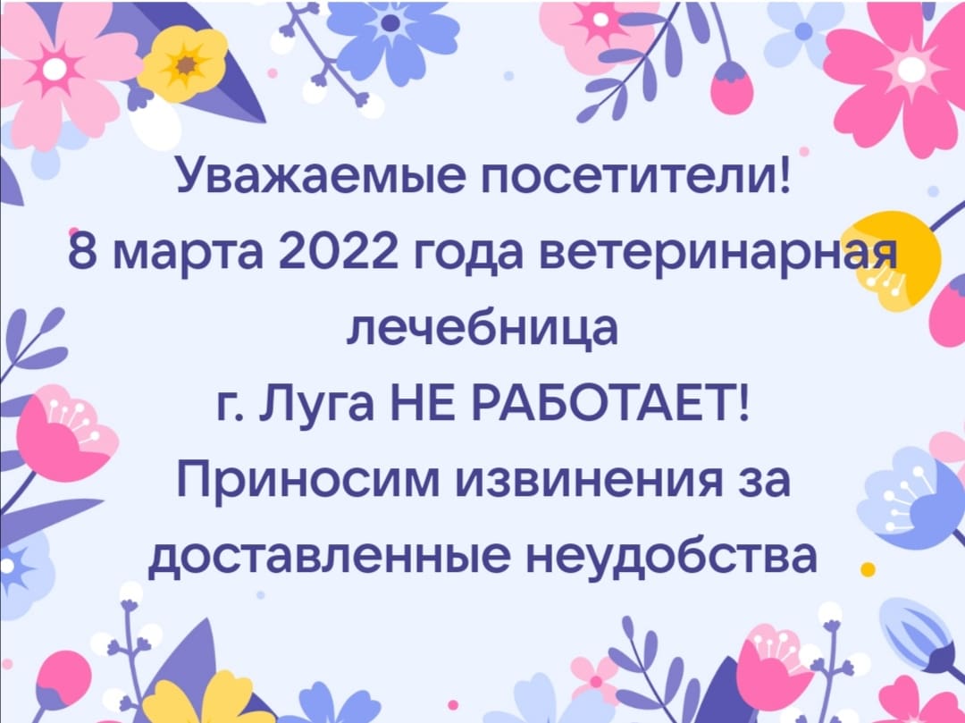 WhatsApp Image 2022-03-05 at 14.34.19.jpeg