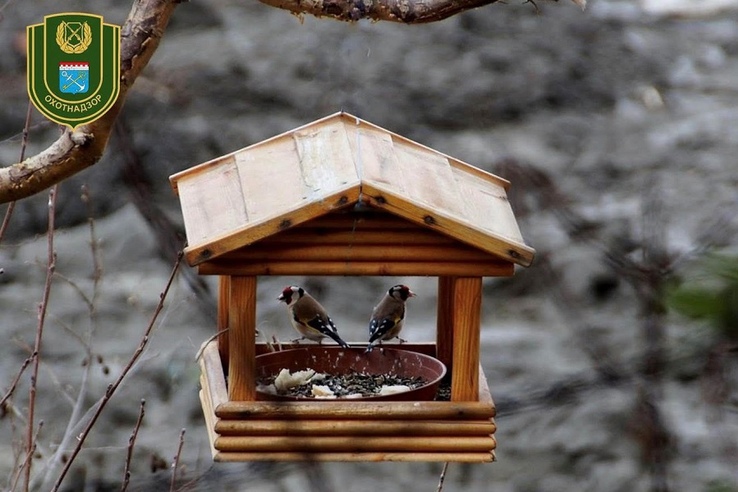 Покормите птиц зимой — они послужат вам весной!