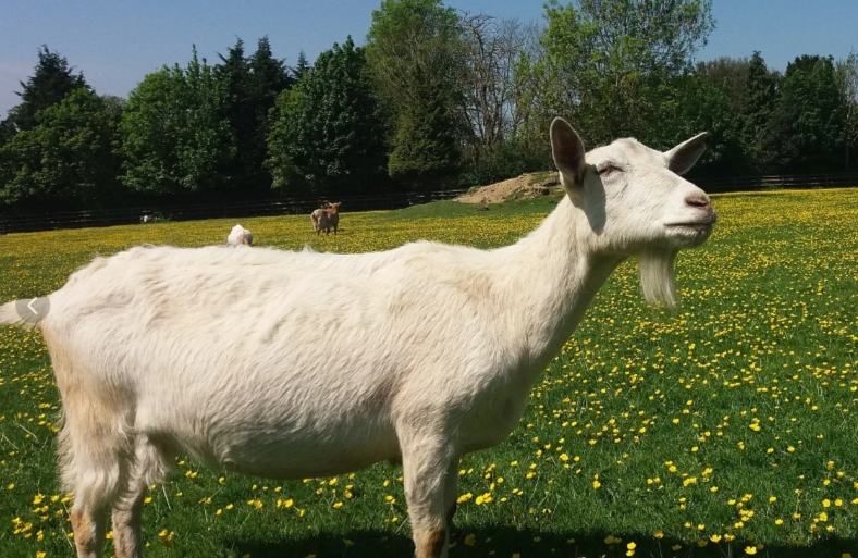 iafQyugy29kNSUwjuPC6ZanU2FztcH3KLb9mXFKhVc4QHMZXHmQUofbKZFBZuzR4l0D4Z4KTCh5s0hLD DrkAcpP