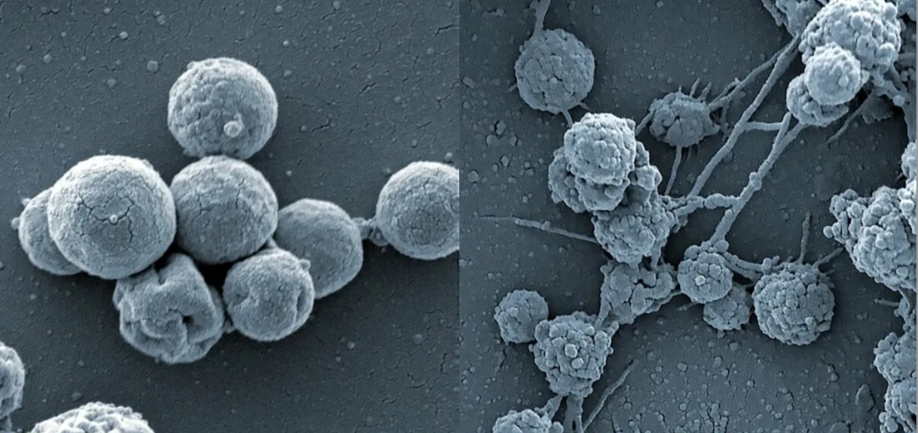 oNupi8FN6Ntw75Hlj2dk6s99rqk0 I8E5ftCj5YI2LpyDfa1Yoy5w0lkiB4ox97QOjthGcIIjguOvqjEgSET7zgD