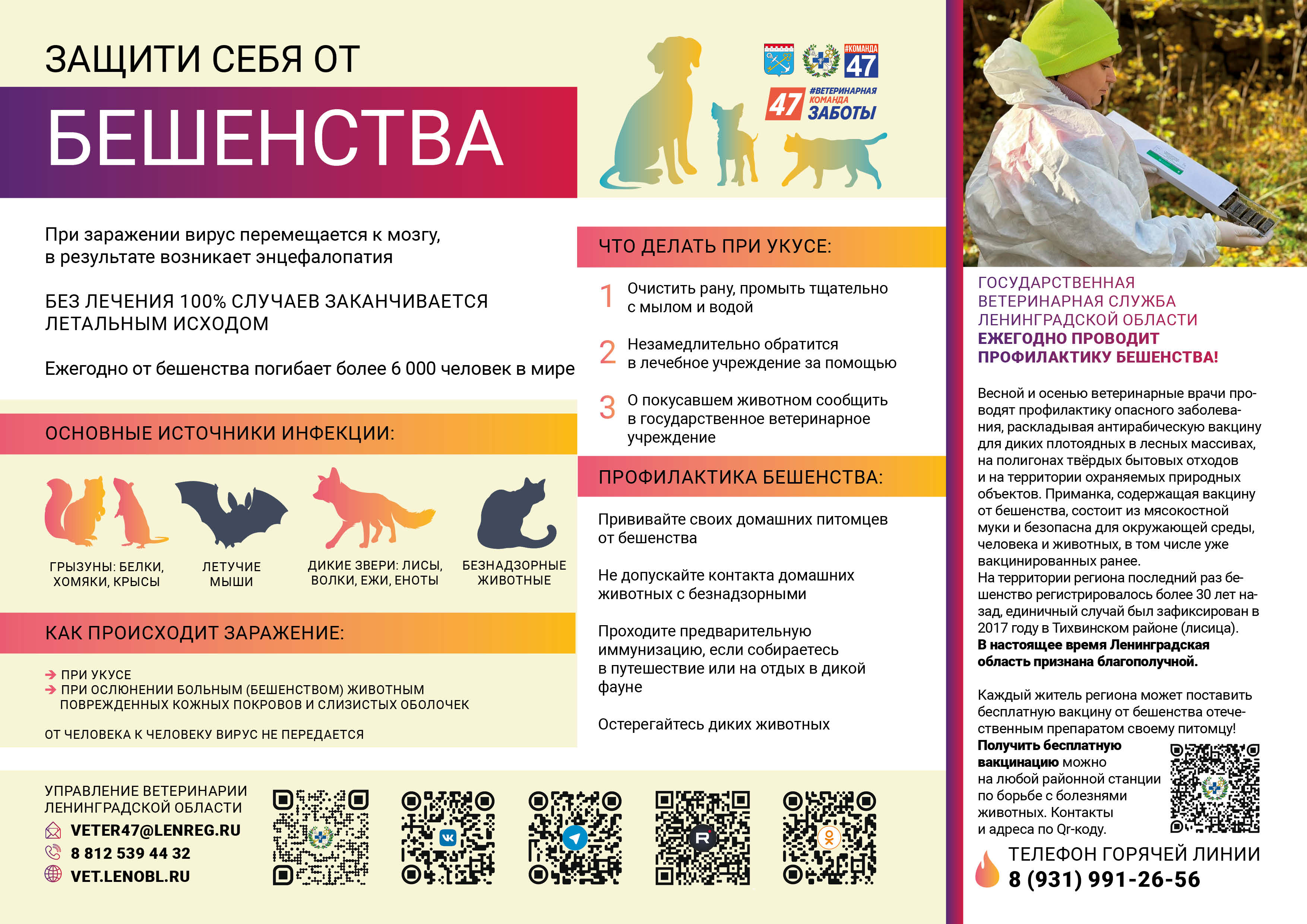 Бешенство А4 горизонт