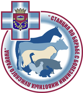 Логотип СББЖ Луга