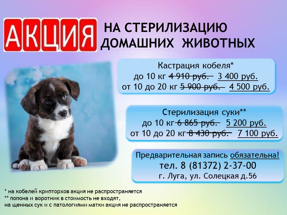 Акция на стерилизацию последняя2